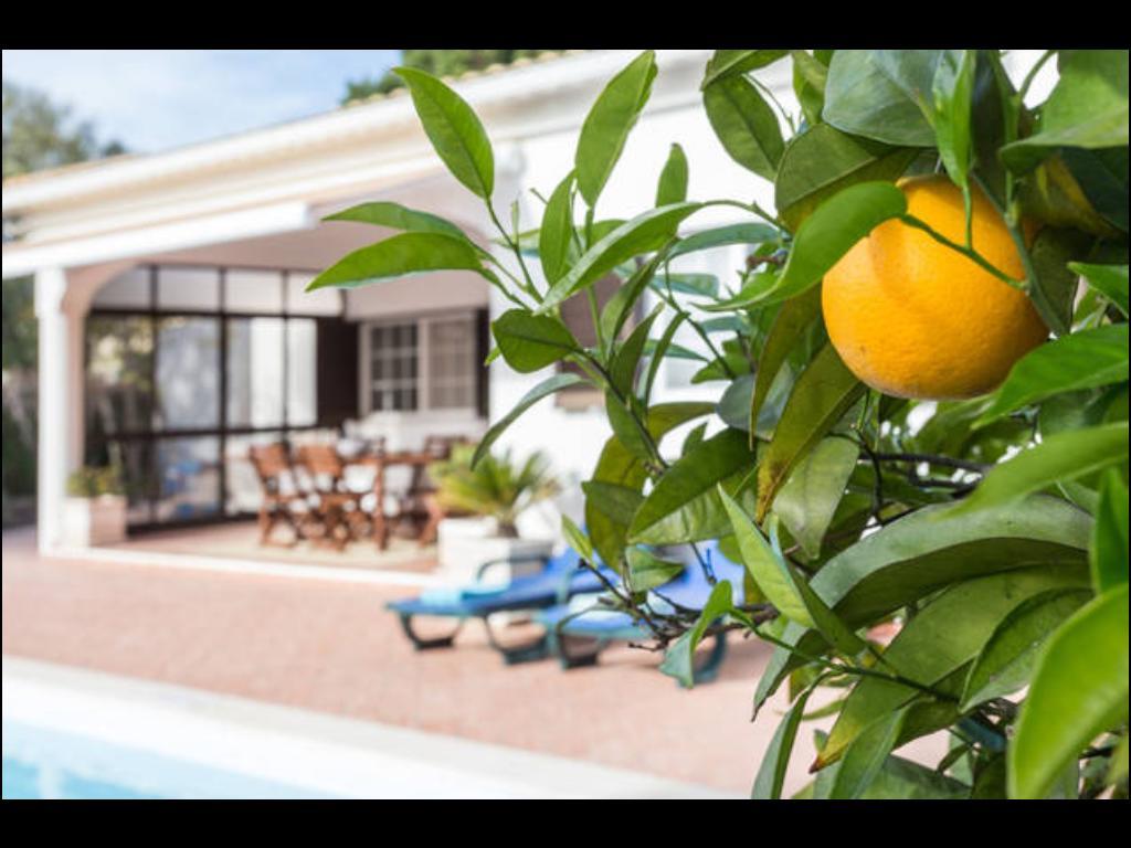 Villa Vilamar Поршеш Екстер'єр фото